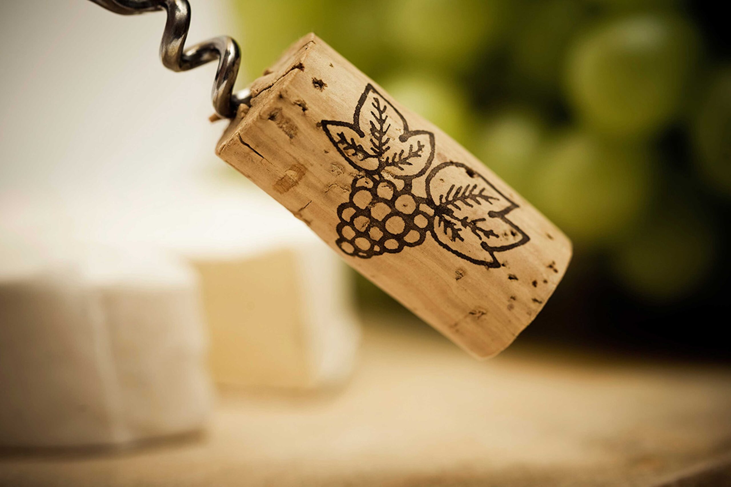 weinblog-suedlage