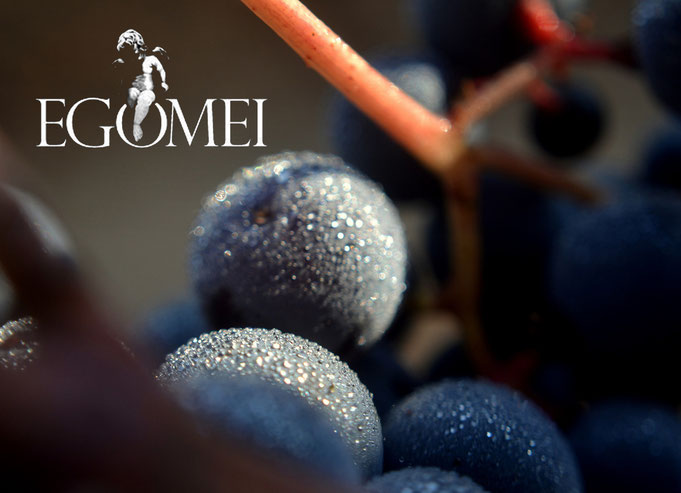 egomei-die-traube